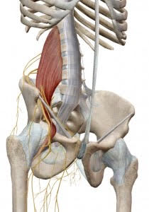 脊柱管狭窄症、坐骨神経痛