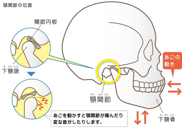 顎のコキコキ音は骨盤や背骨、身体の歪みによって引き起こされる事が多い
